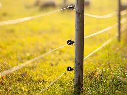 Electric Fence
